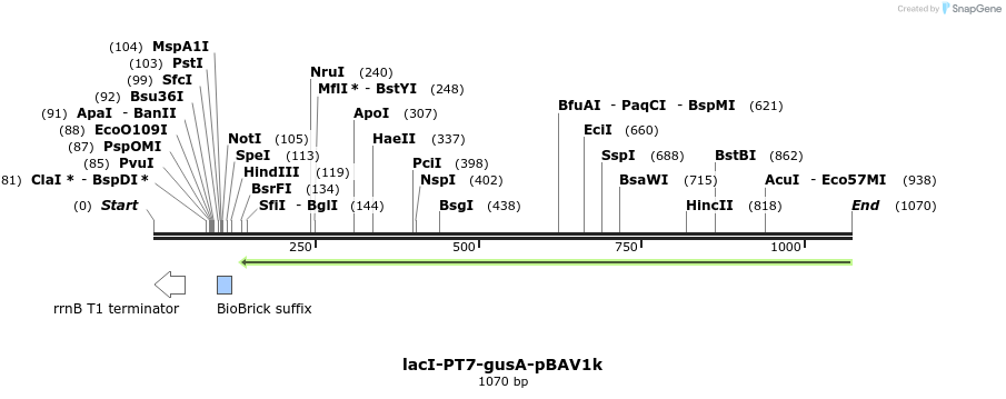 146940_map