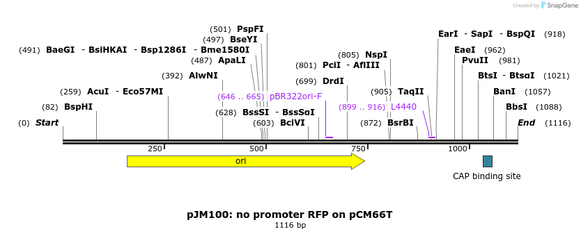146943_map