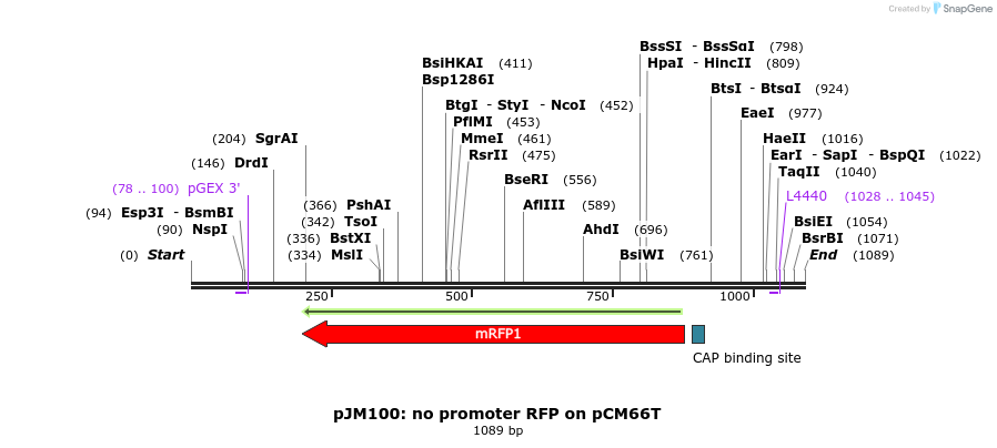 146944_map