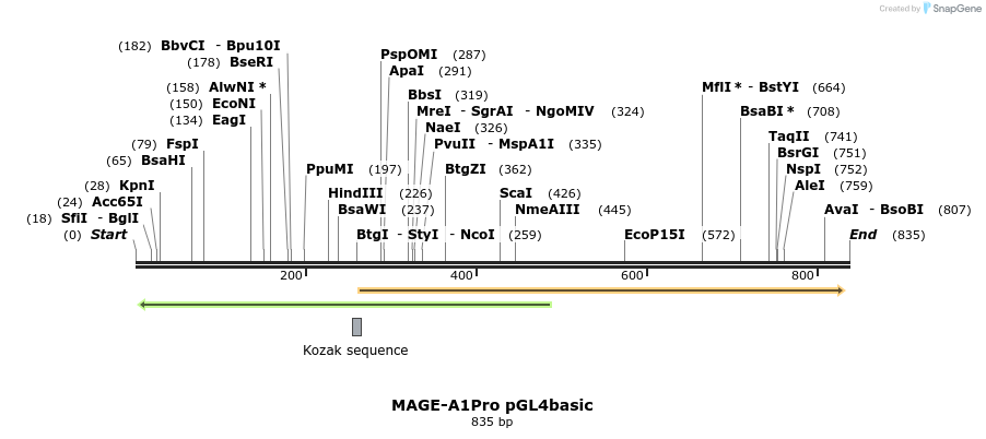 146945_map