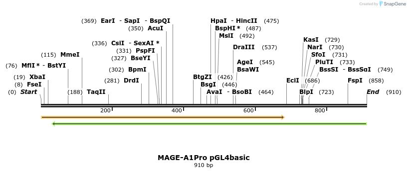146949_map