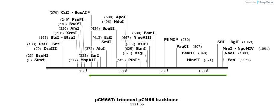 146950_map