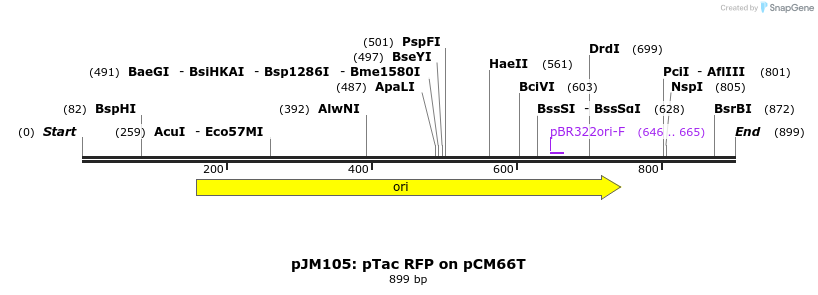 146954_map