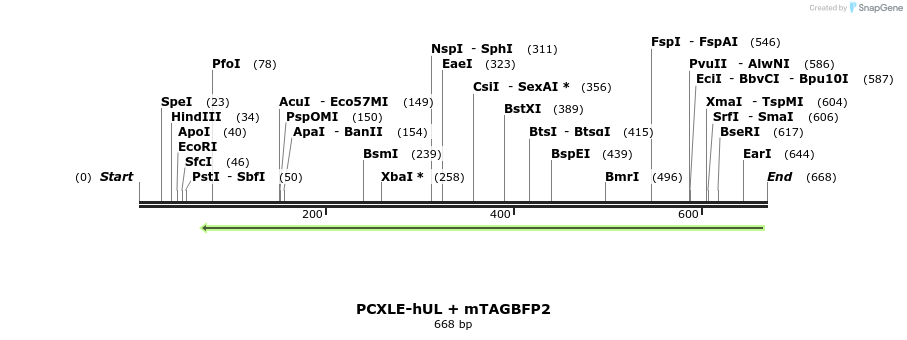 146955_map