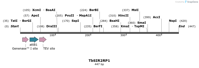 146961_map
