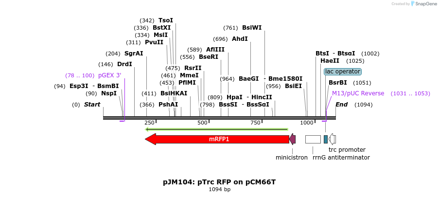 146962_map