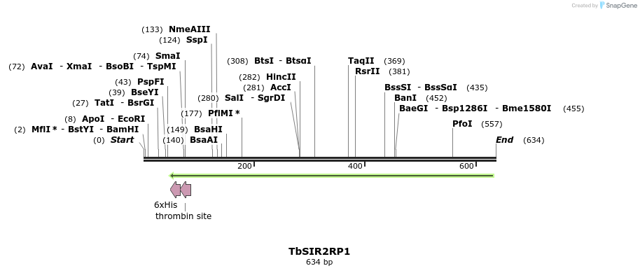 146964_map