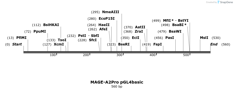 146965_map