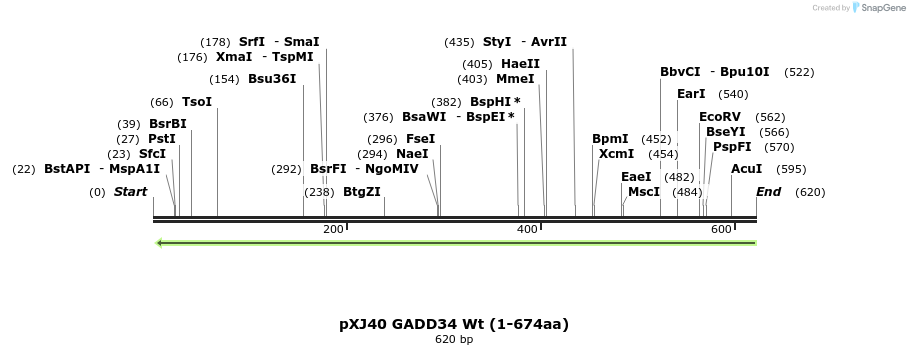 146966_map