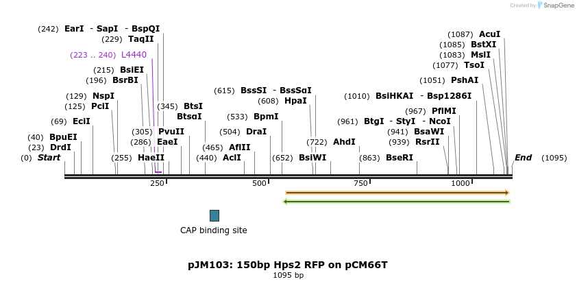 146968_map