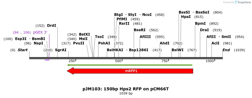 146969_map