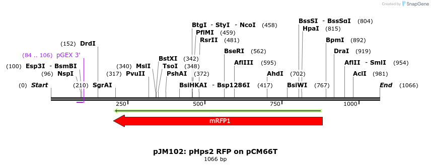 146976_map