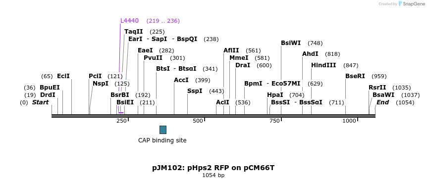 146979_map