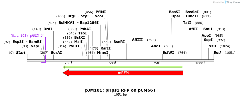 146982_map
