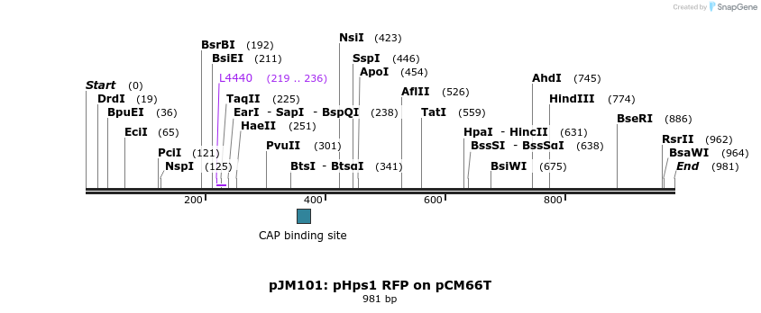 146984_map