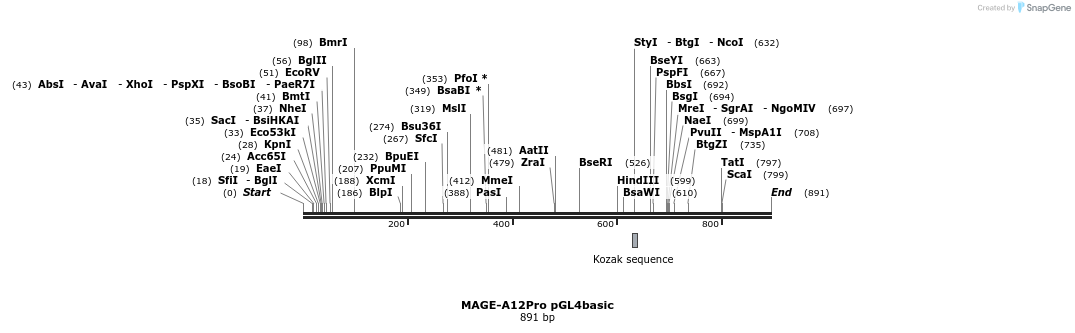 146990_map