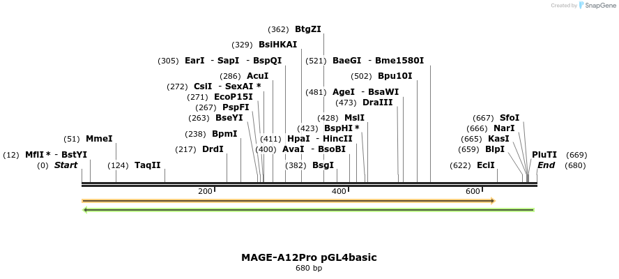 146992_map