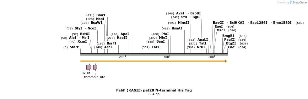 146994_map
