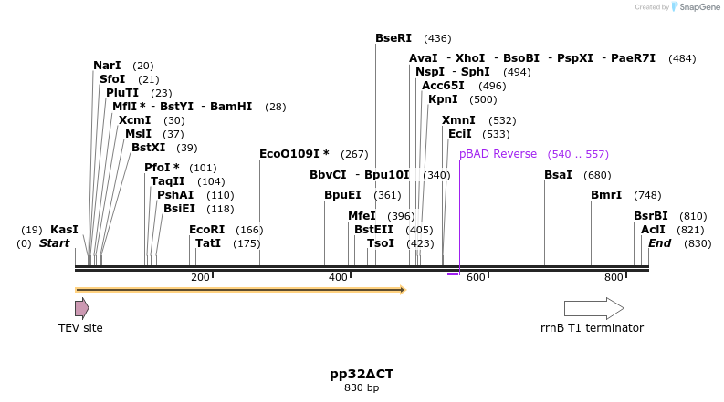 146997_map