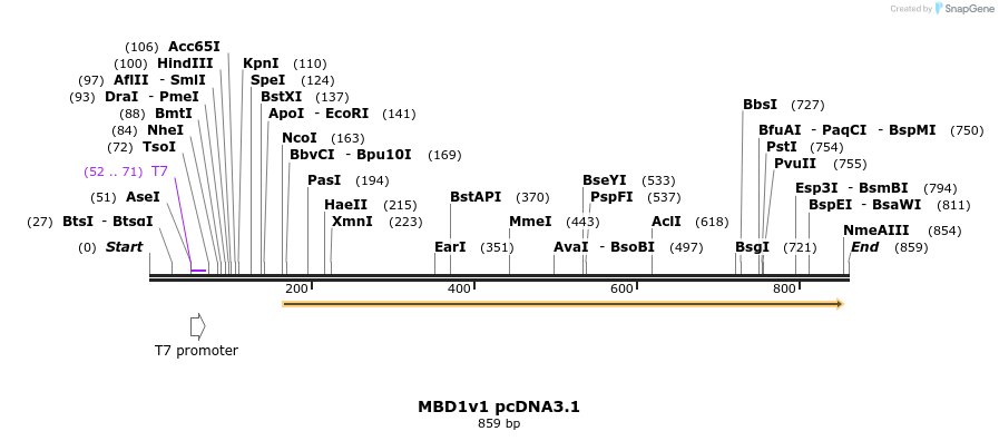 146998_map