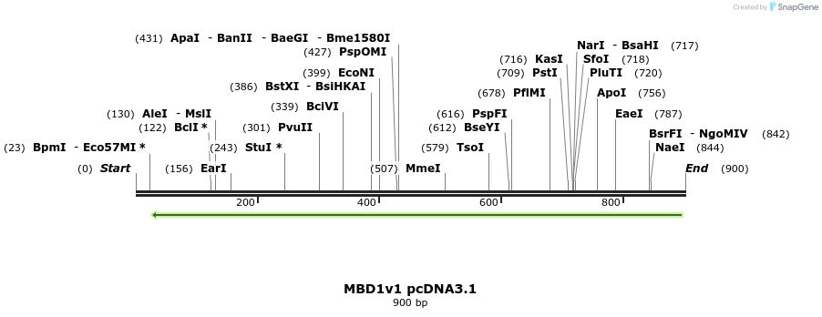 146999_map