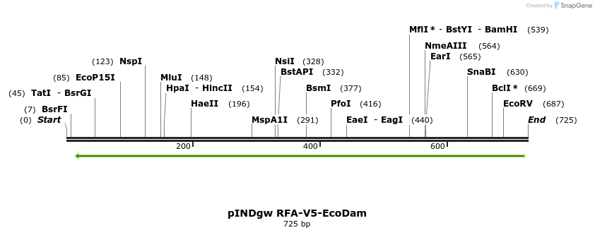 147005_map