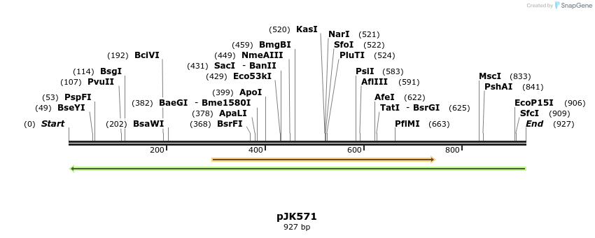 147007_map