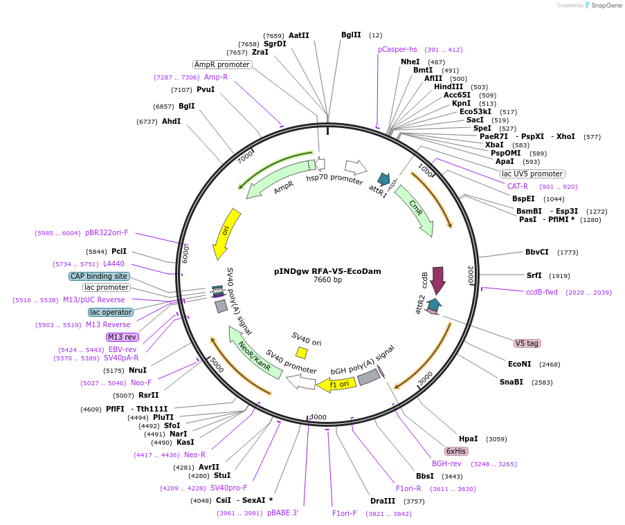 147009_map