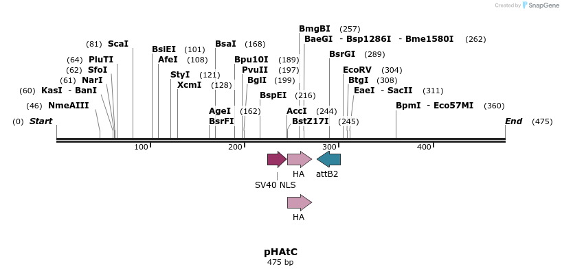 147012_map