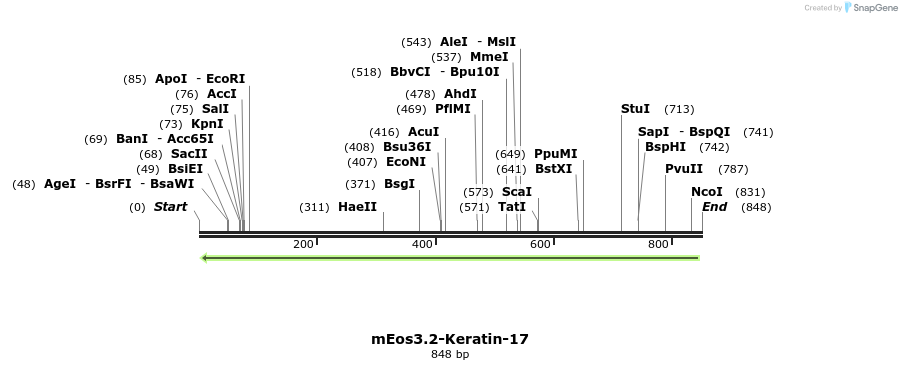147018_map
