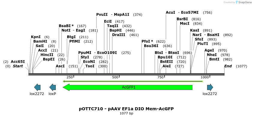 147019_map