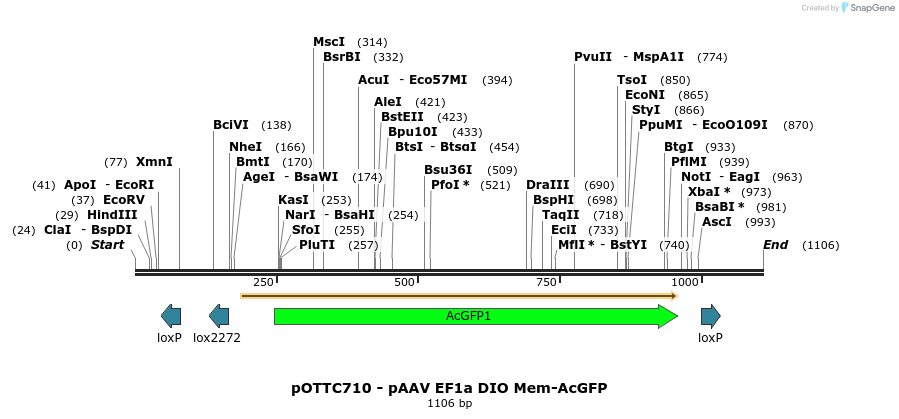 147020_map