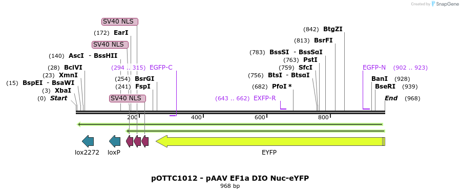 147025_map