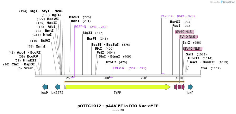 147026_map