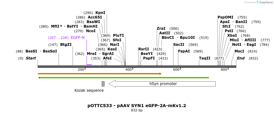 147028_map