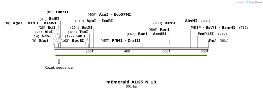 147029_map