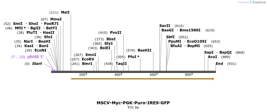 147030_map