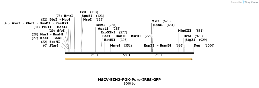 147031_map