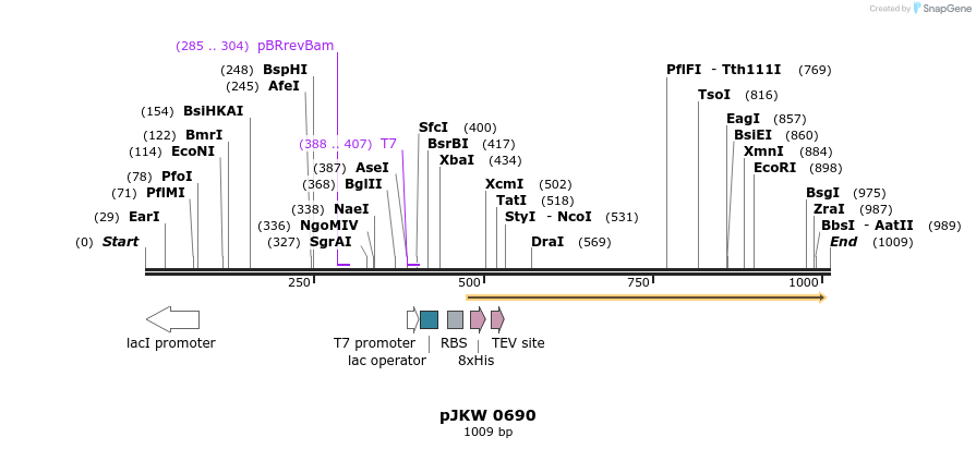 147032_map