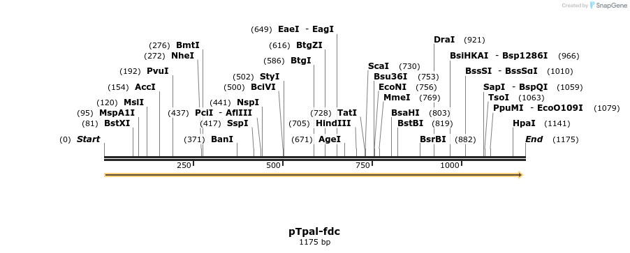 147035_map