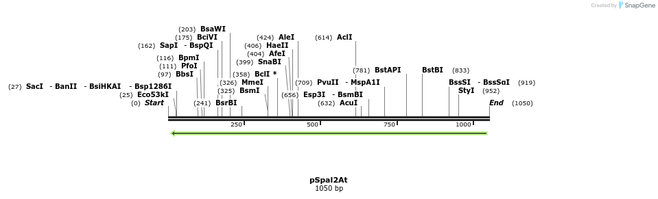 147036_map