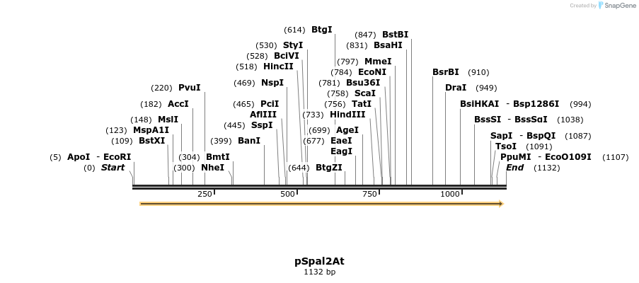 147037_map