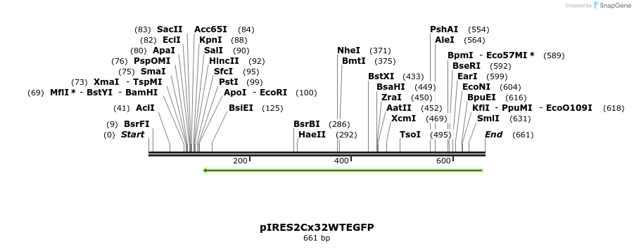 147043_map