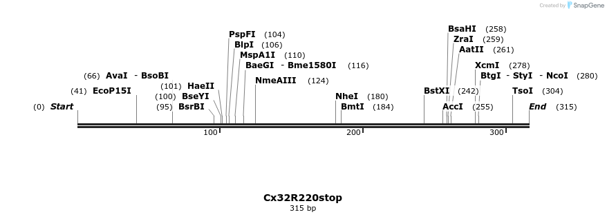 147044_map
