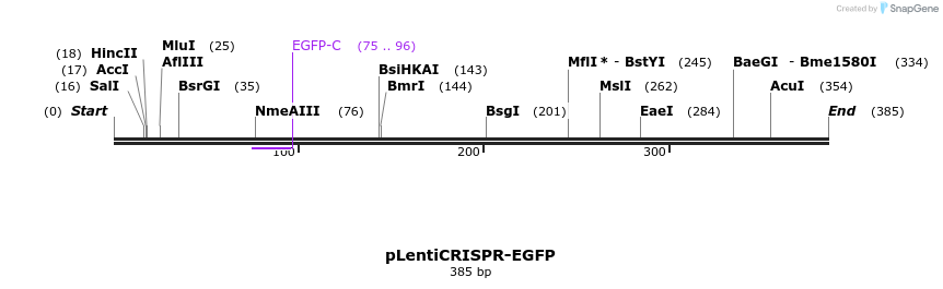 147046_map