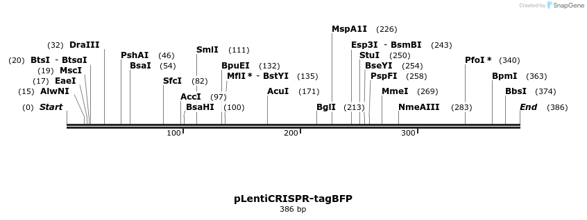 147047_map