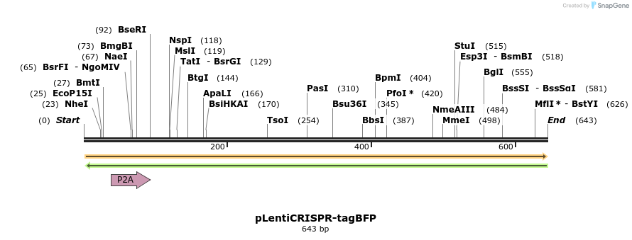 147048_map