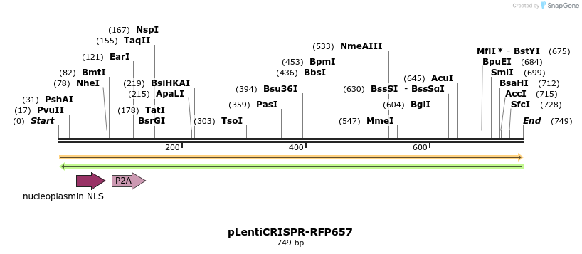 147051_map
