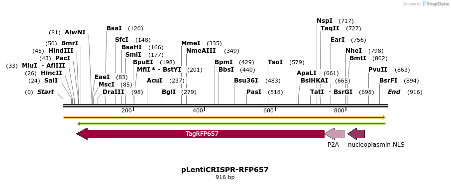 147052_map
