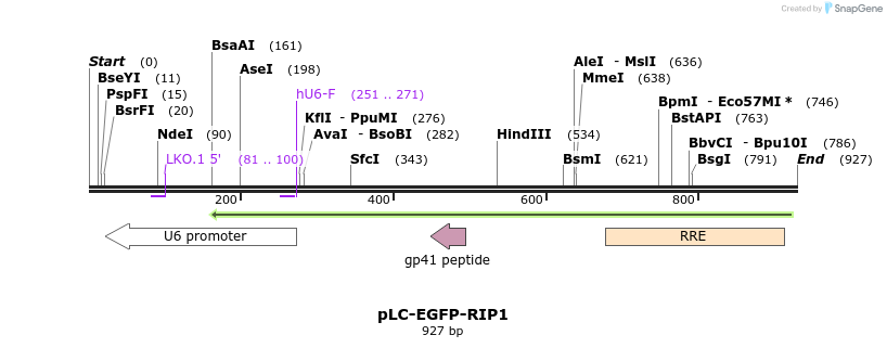147060_map